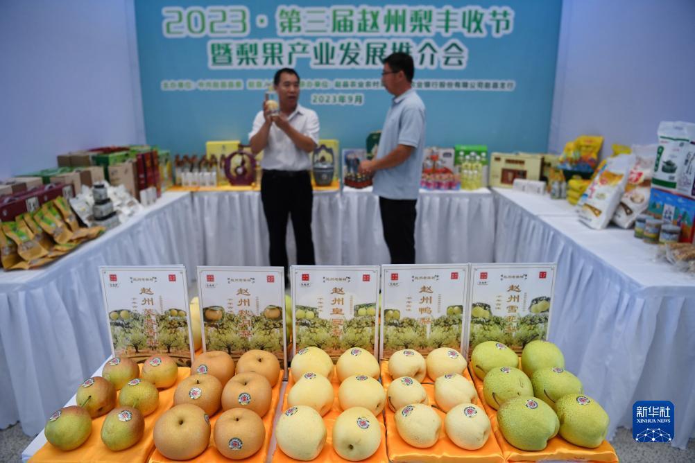 天庭娱乐游戏平台3621