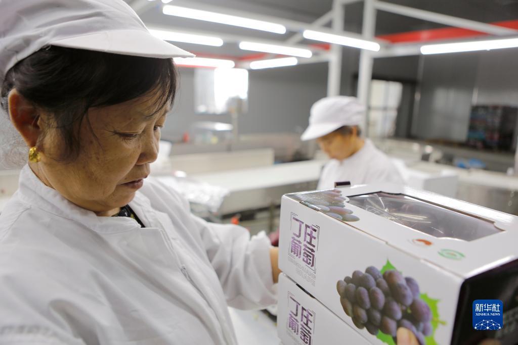 菠菜导航资讯